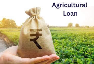 Agricultural Loan